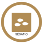 Sésamo